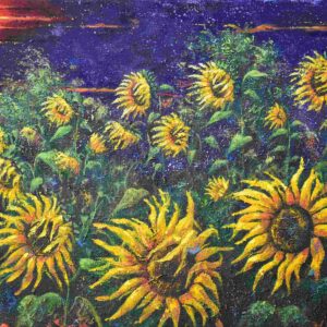 Evening Sunflower Field